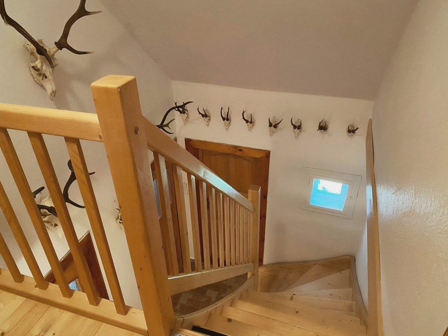 Dřevěné schodiště a řada paroží na bílé stěně